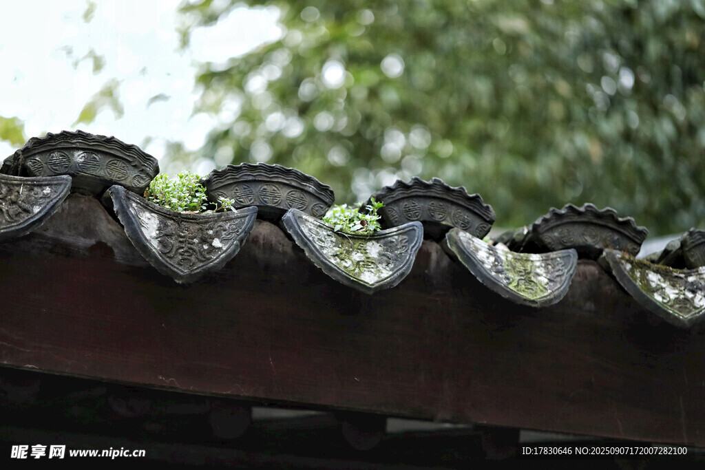 苏州园林某处的瓦当