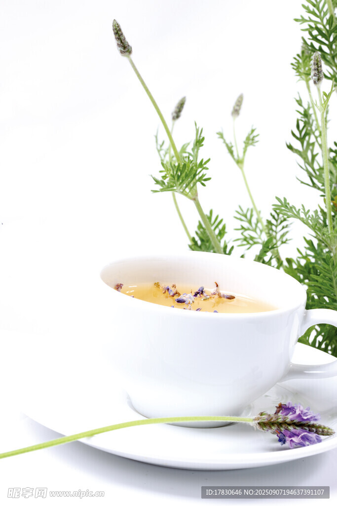 一杯芬芳的花草茶