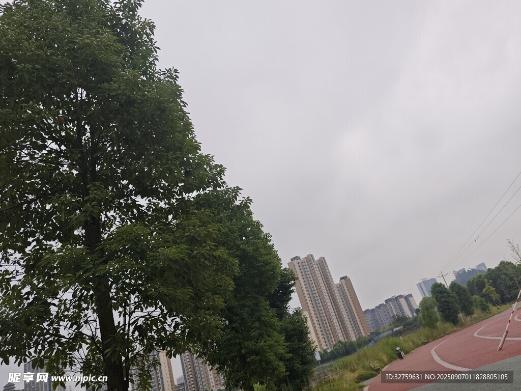 校园跑道旁的绿树与建筑