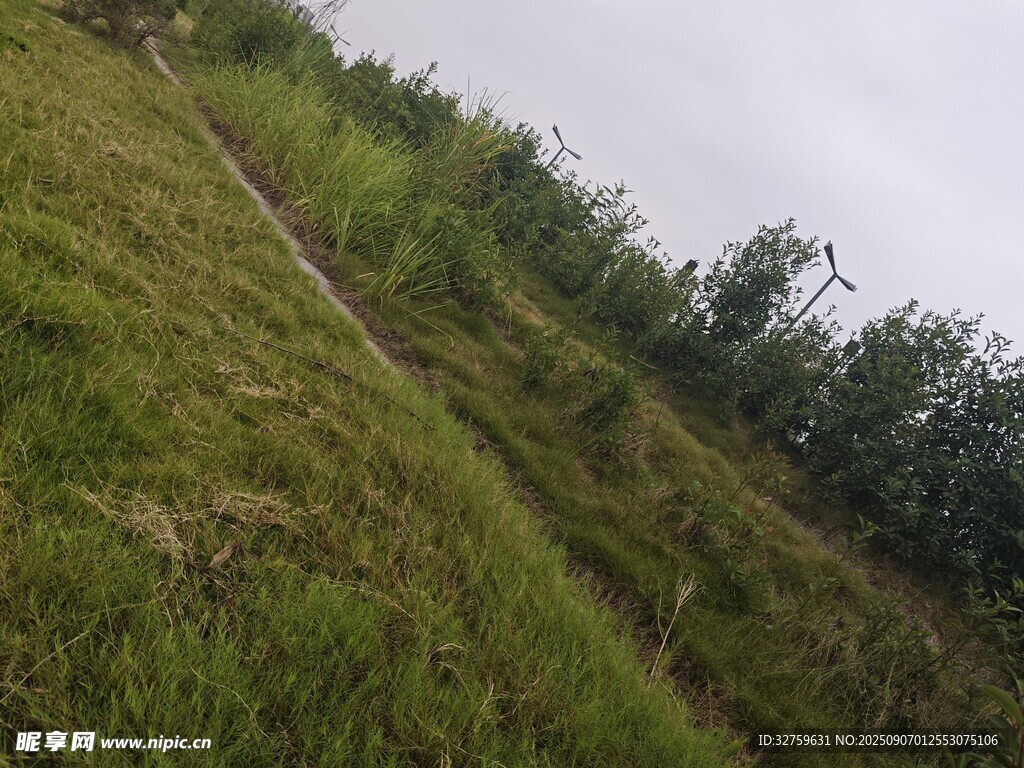 山坡上的绿意与蜿蜒小径