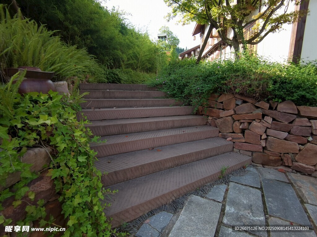 户外绿植环绕的石阶小径