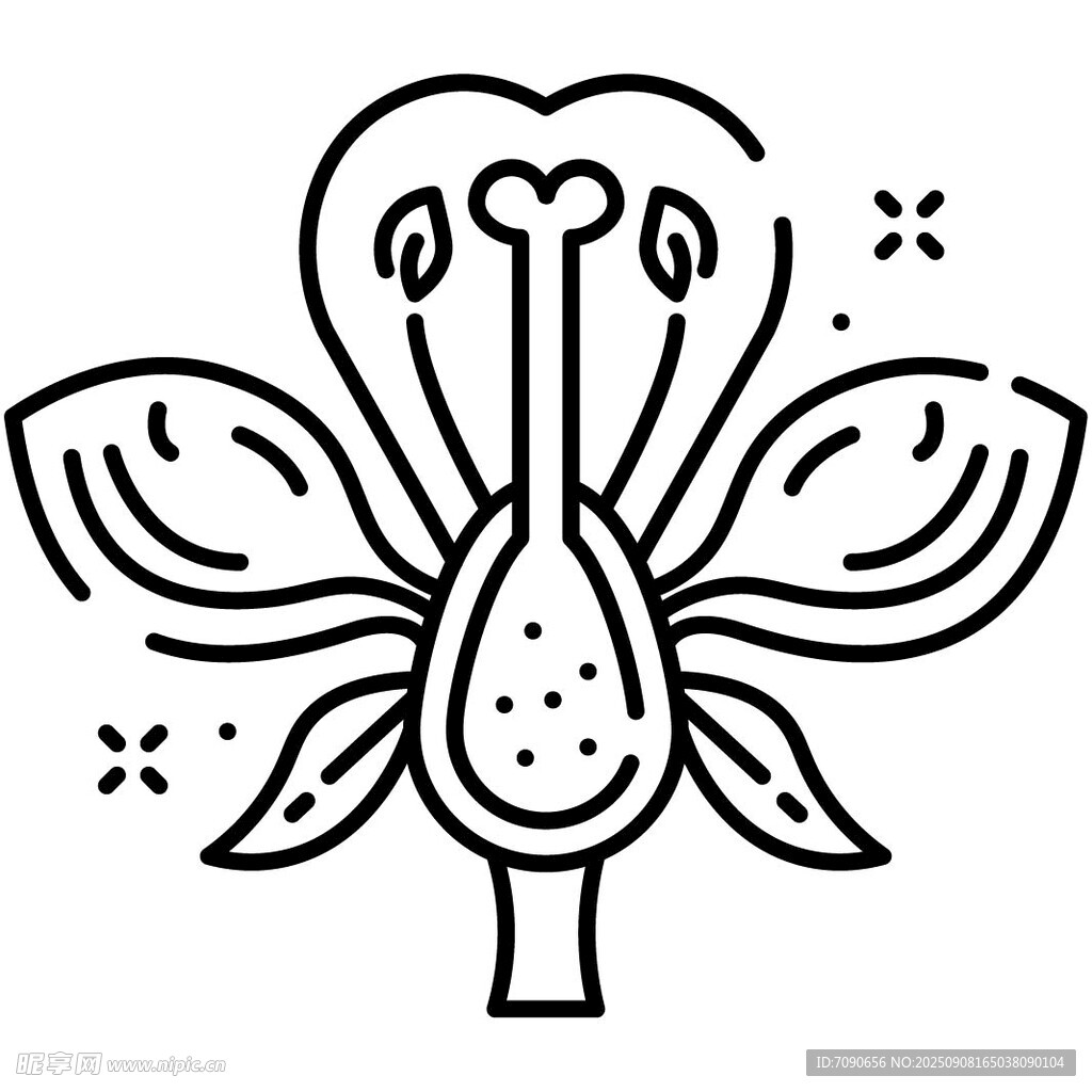 简约线条勾勒的花朵图案