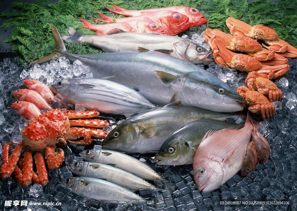新鲜多样海鲜大集合