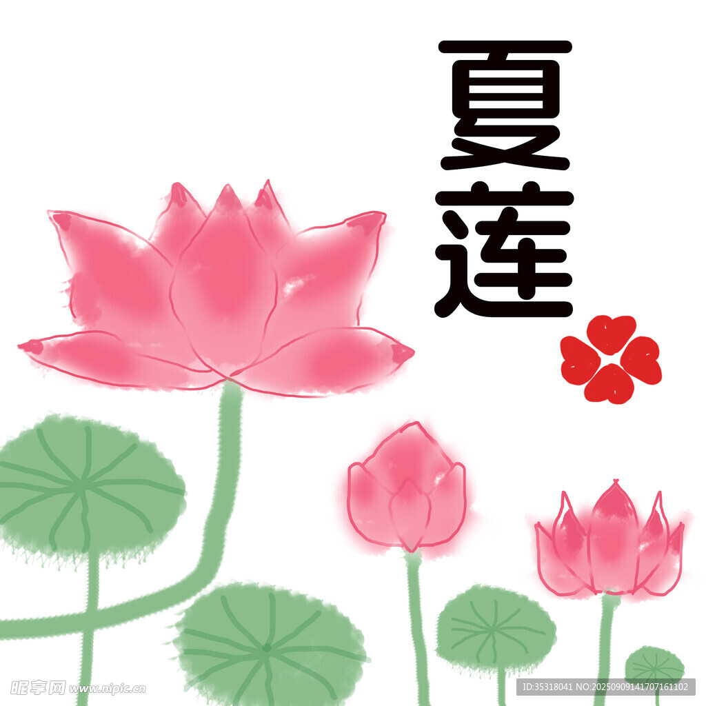 夏日莲花插画