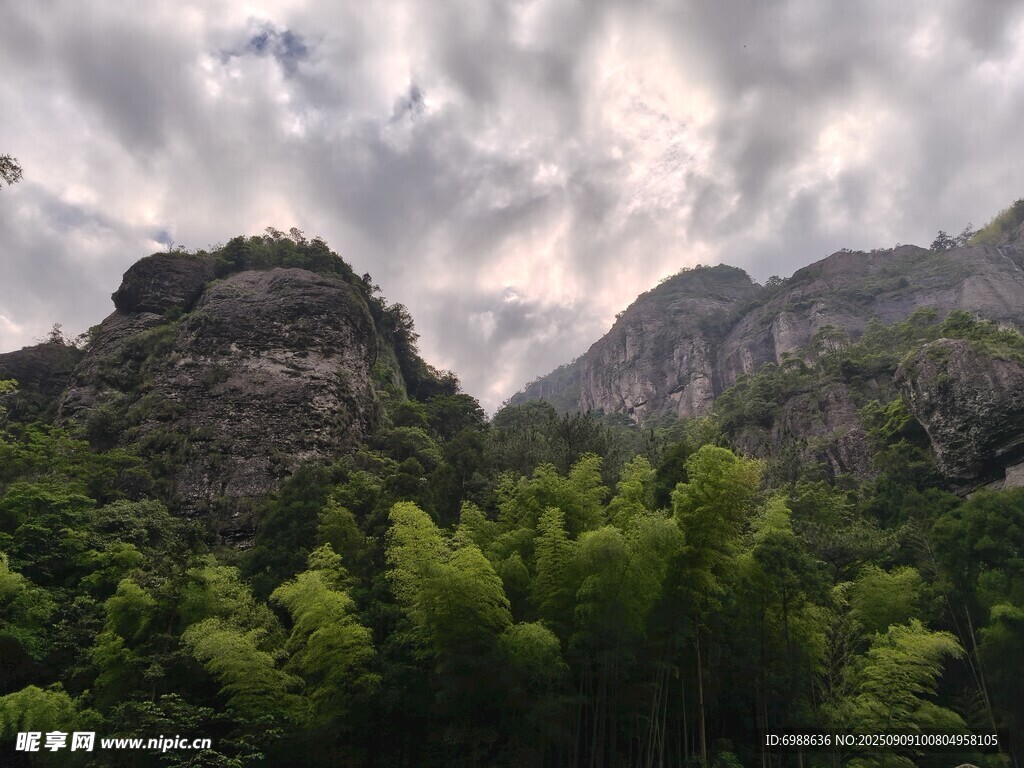 山峦竹林间的云雾景致