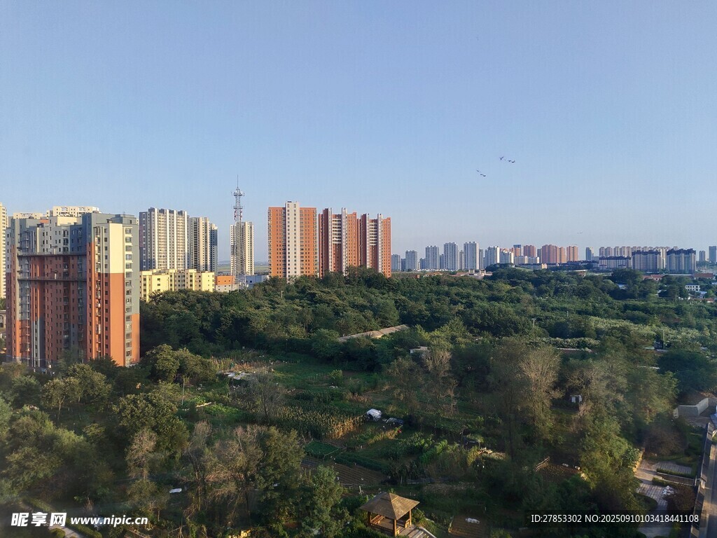 城市与绿树相映的景观