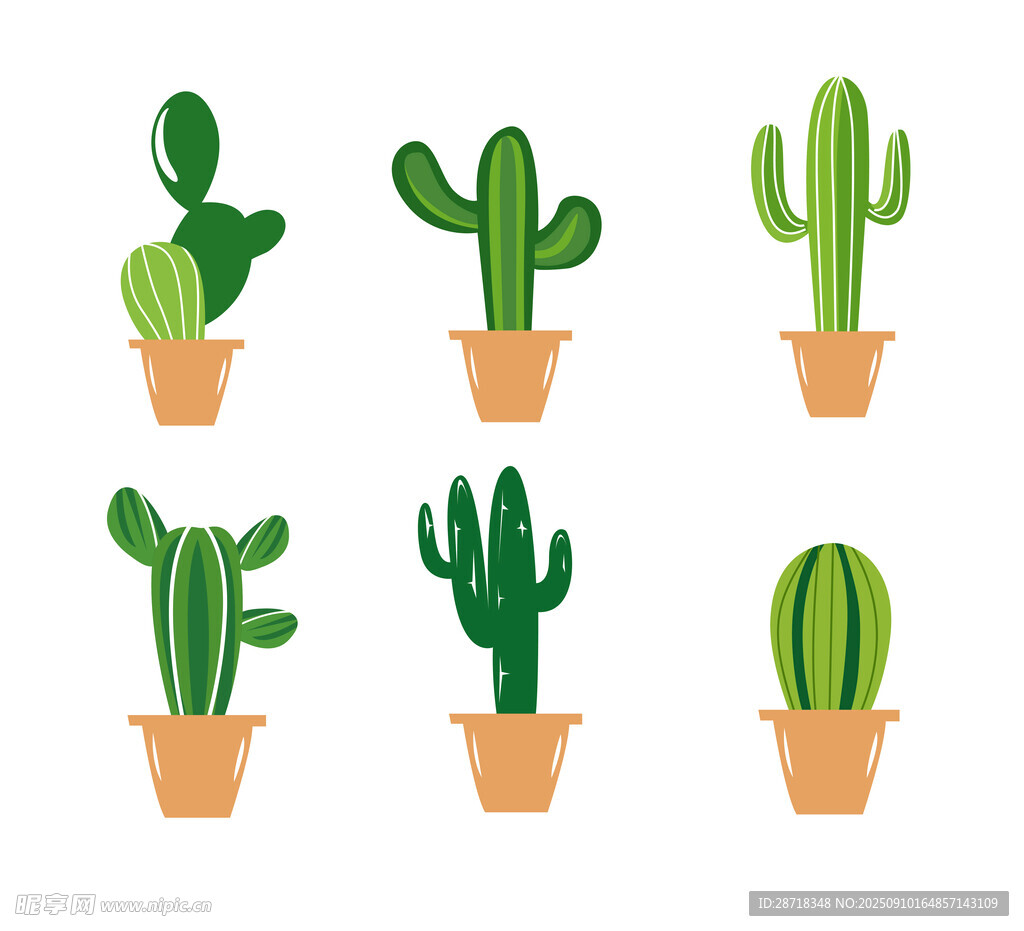 盆栽仙人掌插画