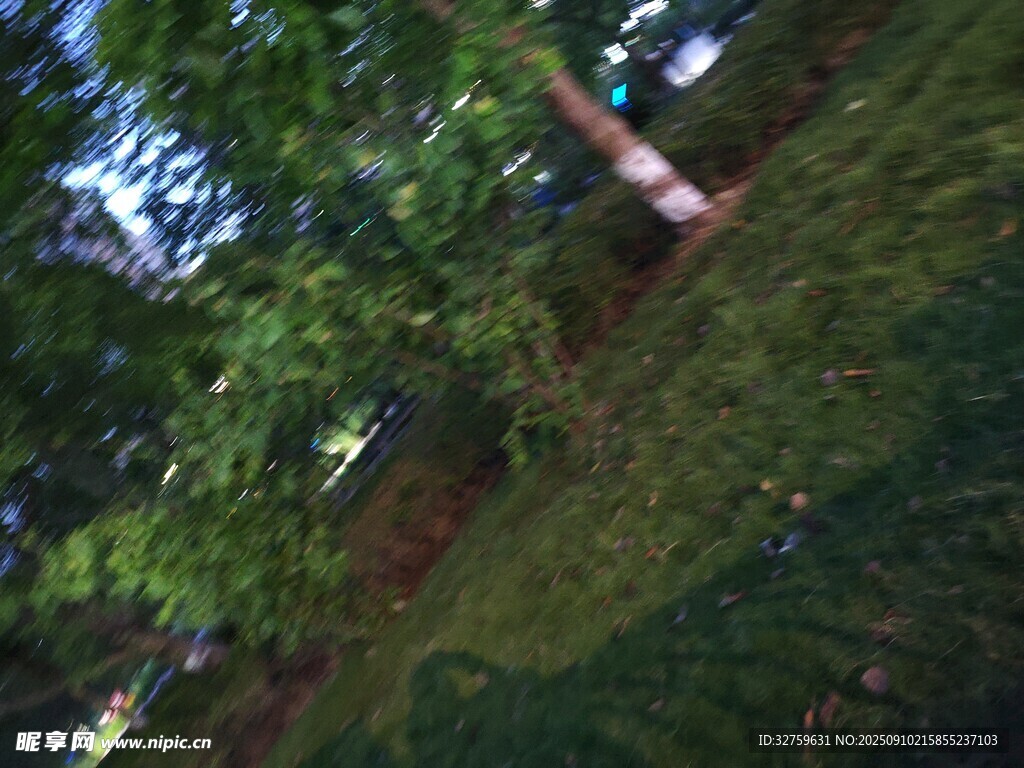 绿意盎然的户外自然景致