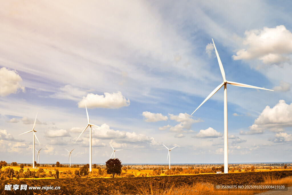 田野上的风力发电机组