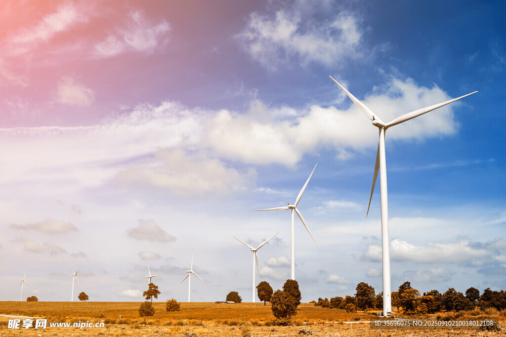 田野上的风力发电机组