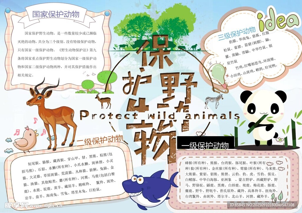 爱护动物手抄报