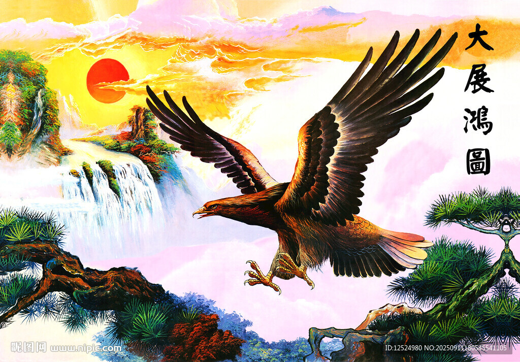 高清大图大展鸿图 大鹏 鹰