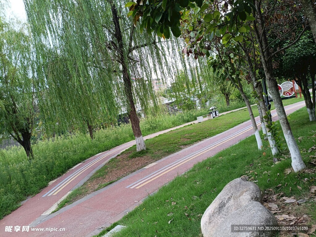 公园中的蜿蜒彩色步道