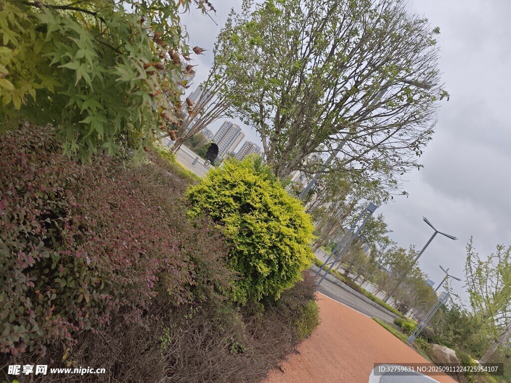 公园中色彩丰富的绿植景观