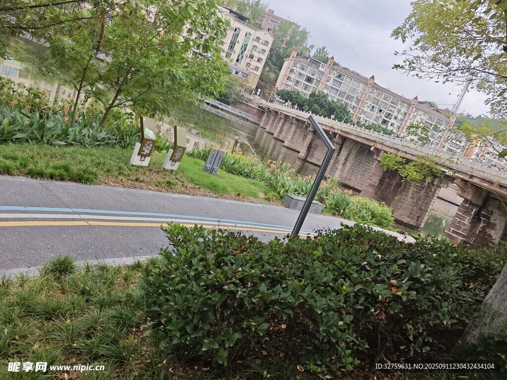 城市道路旁的绿植景观