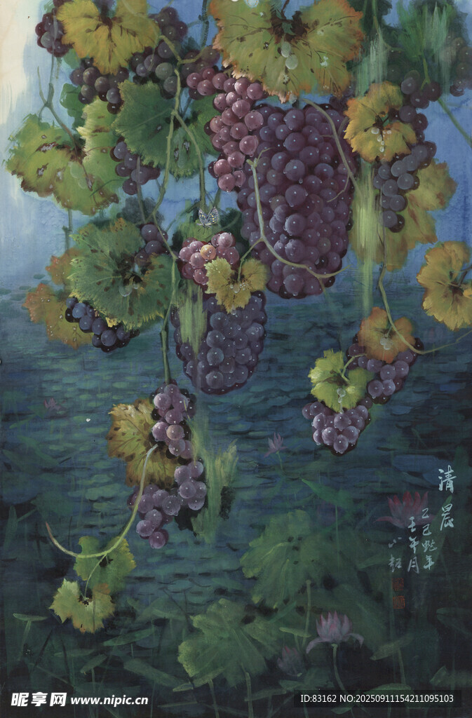 葡萄藤下的自然景致