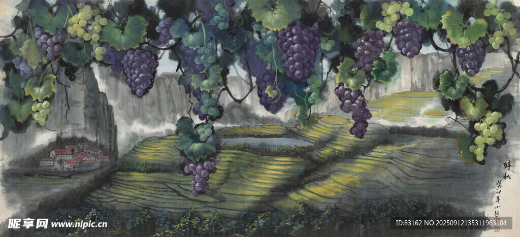 田园葡萄藤下梯田