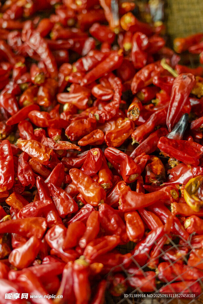 红辣椒特写