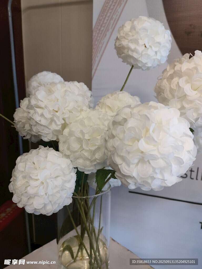 白色乒乓菊插花装饰瓶中