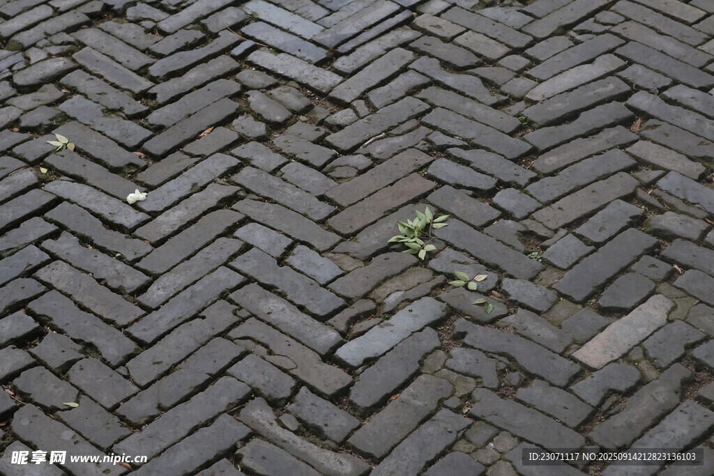 青砖铺就的古朴路面