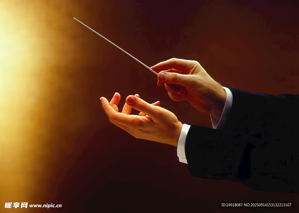 指挥家的优雅指挥瞬间