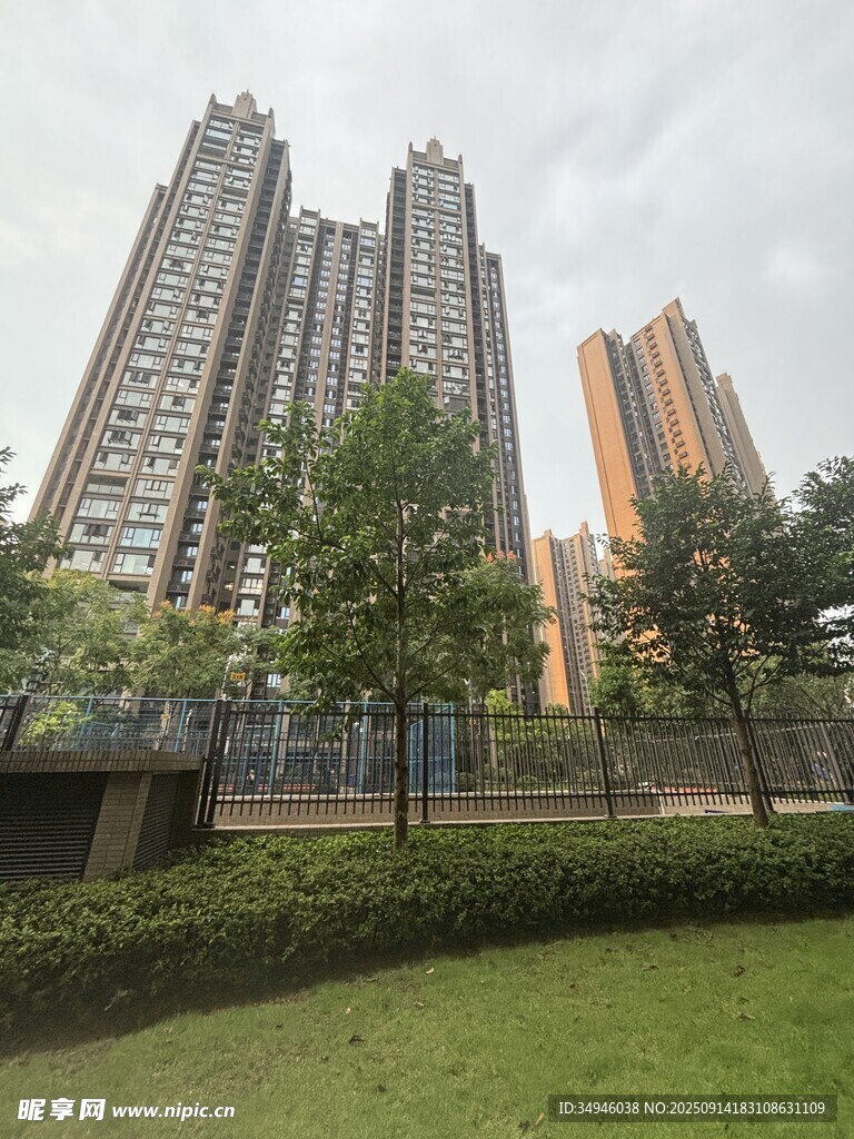 城市高楼旁的绿地景观