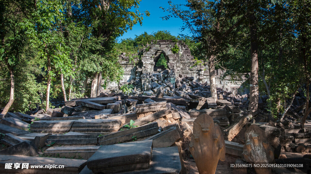 山林间的石阶与葱郁树木