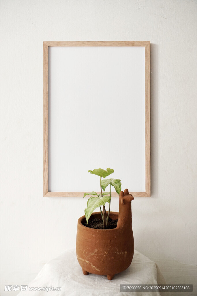 简约盆栽与空白画框