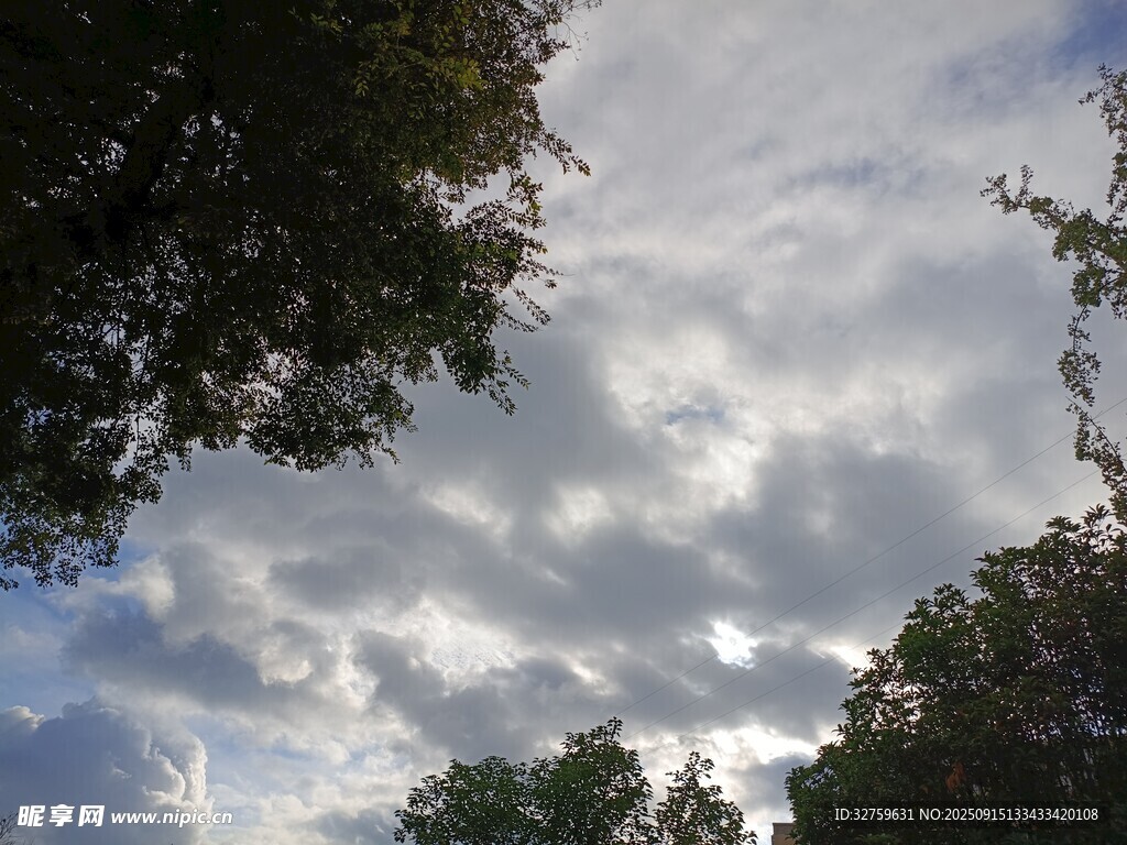 透过枝叶看天空云朵