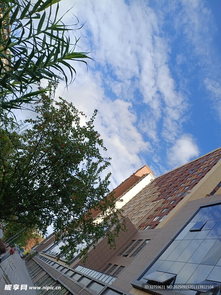 蓝天白云下的城市街景