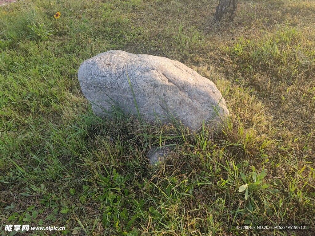 草地上的孤石