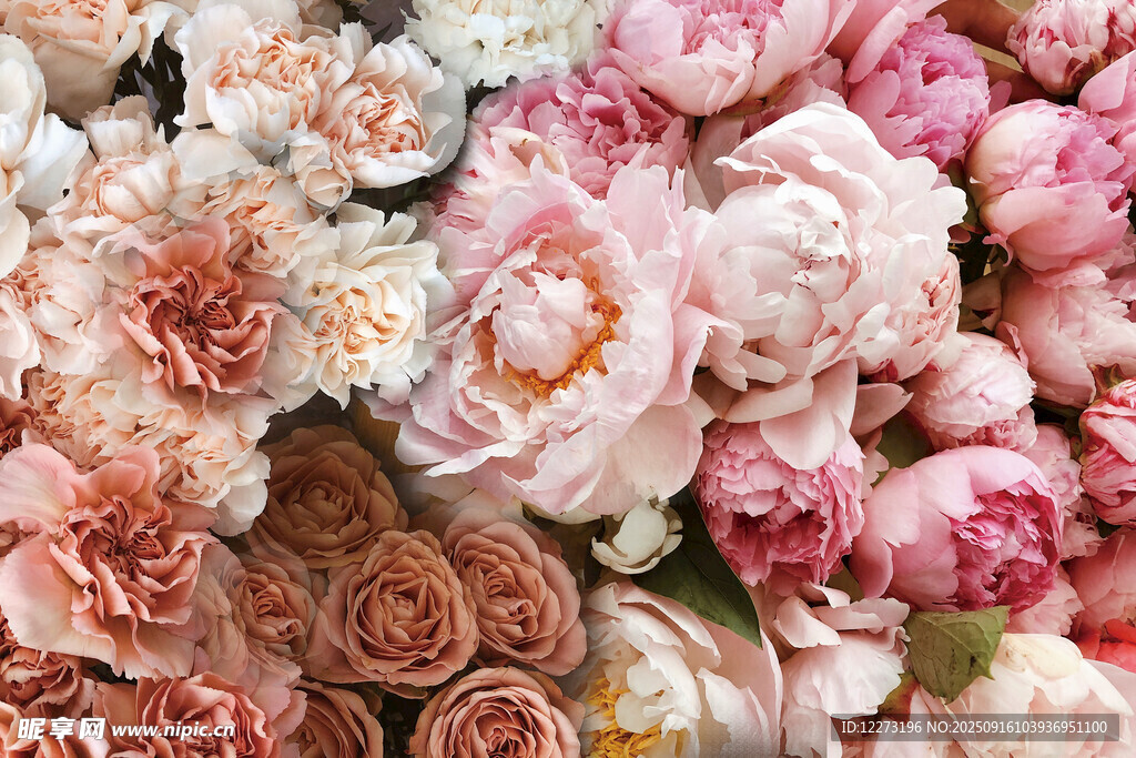 缤纷多彩的浪漫花卉组合