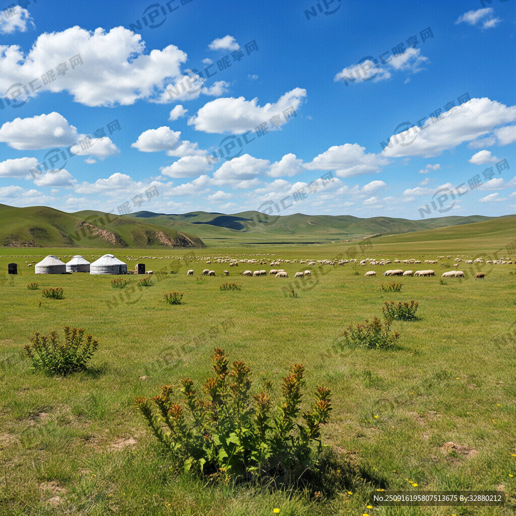 平原草地 植物丰茂的春天 羊群