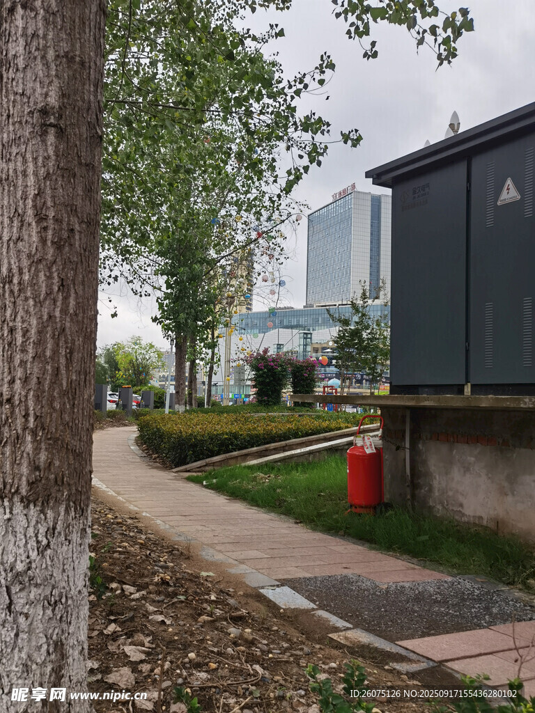 城市林荫小道与变电箱