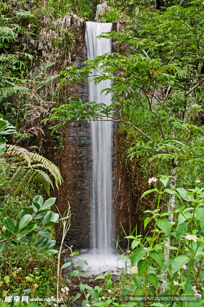 马达加斯加风光