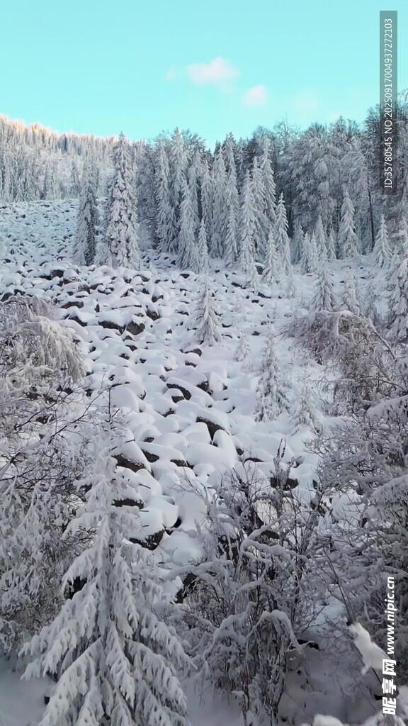 冬日雪景中的静谧山林
