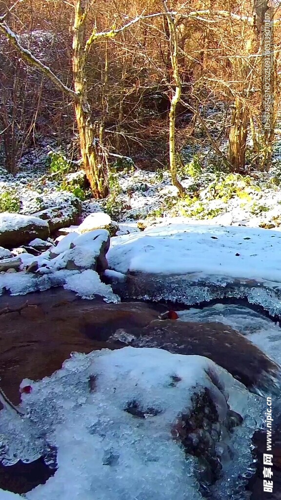 冬日溪边雪景
