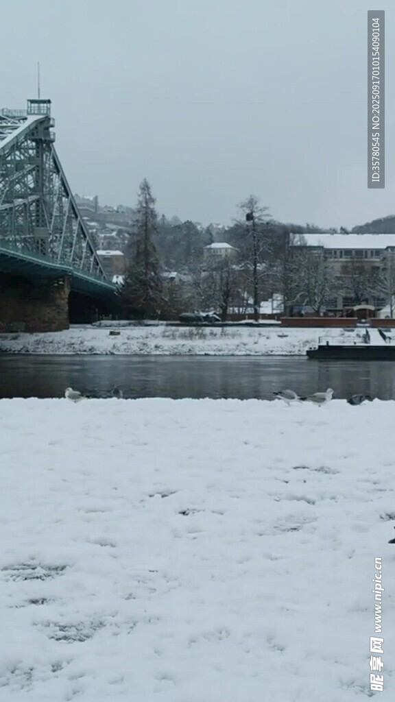 冬日雪景中的桥梁与建筑