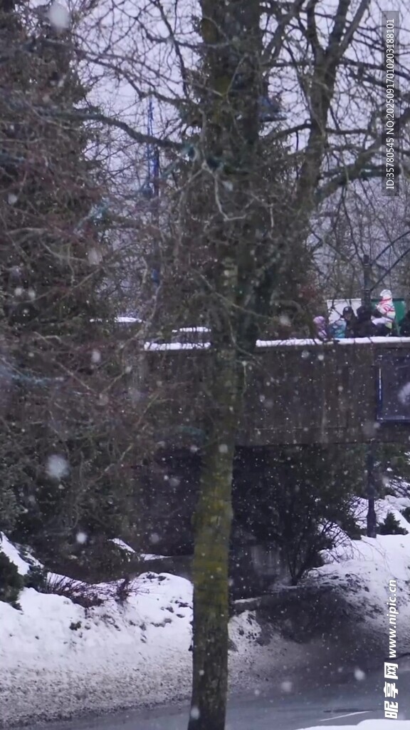 冬日雪景中的桥梁与树木