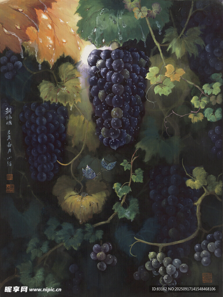 葡萄藤蔓间的饱满紫葡萄