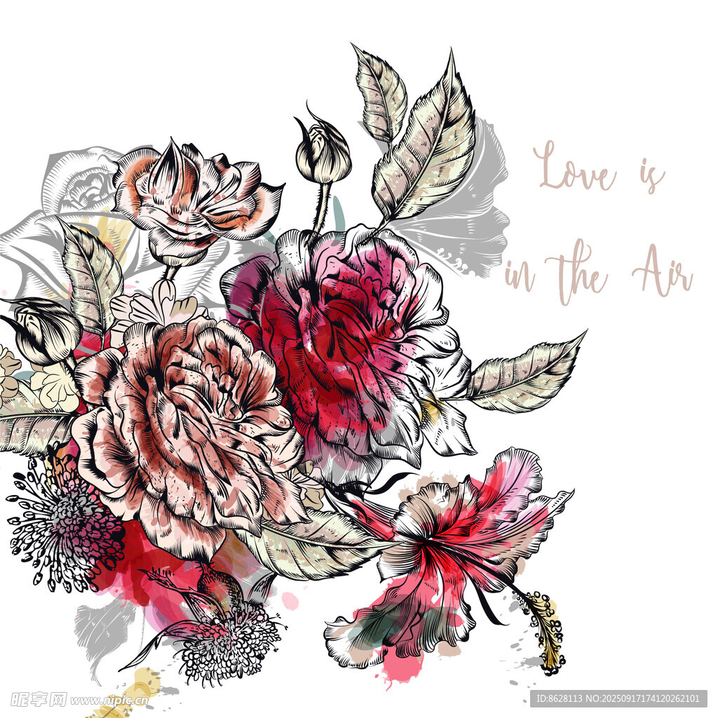 手绘花卉插画浪漫柔美