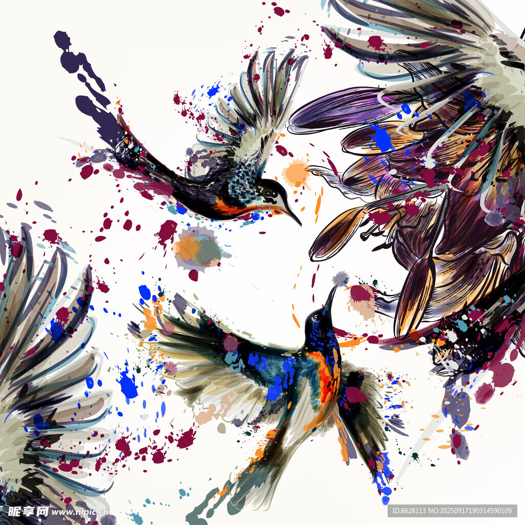 蝴蝶花卉装饰图案集合