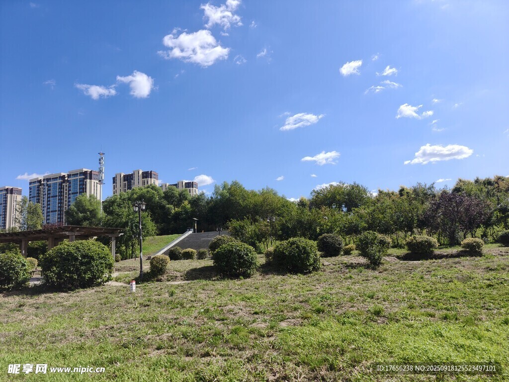 蓝天绿地旁的城市建筑群