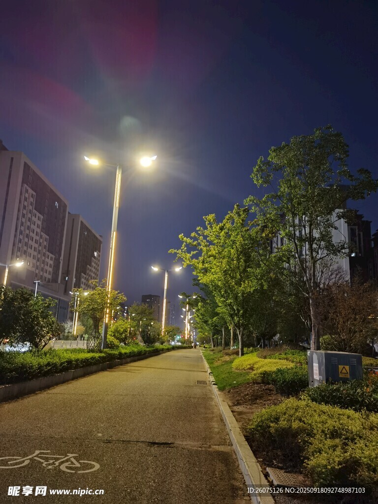 夜晚城市小路的静谧景象