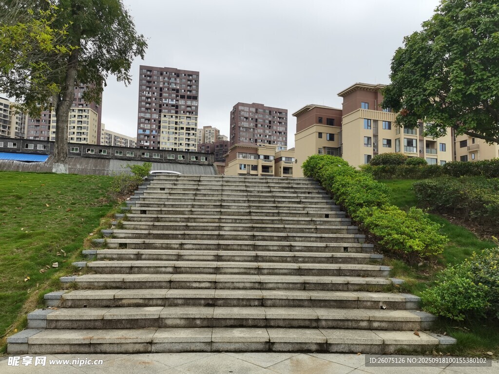 校园石阶通往知识殿堂