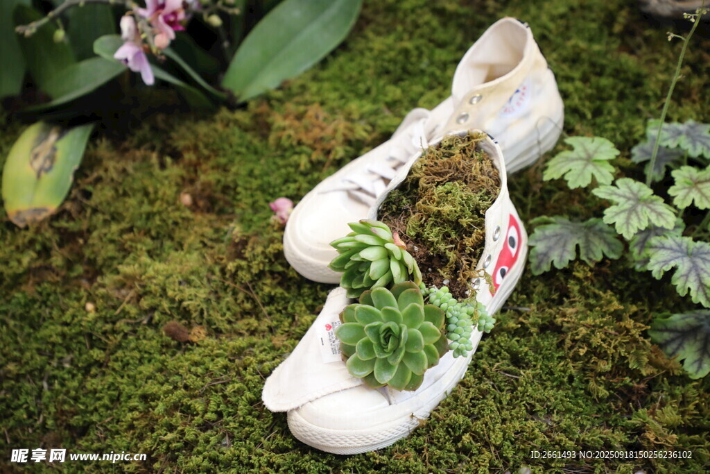 苔藓装点的别致运动鞋