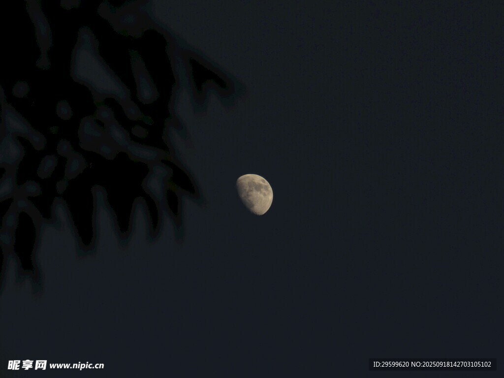 夜空中的朦胧弯月