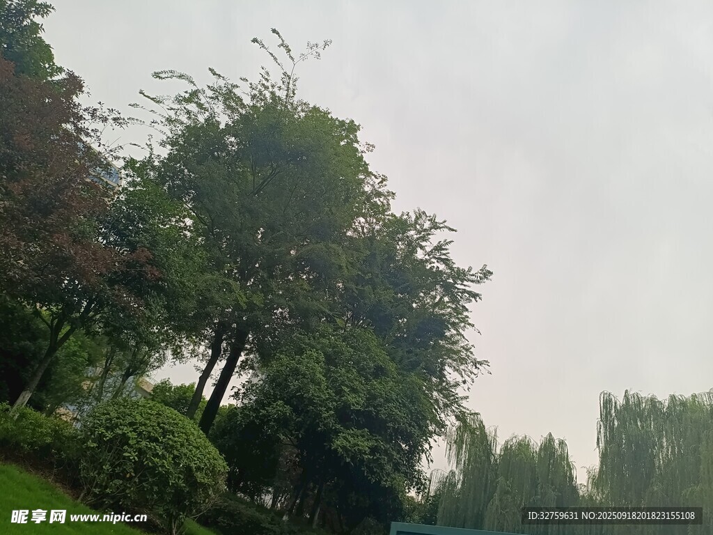 户外绿意盎然的自然景致