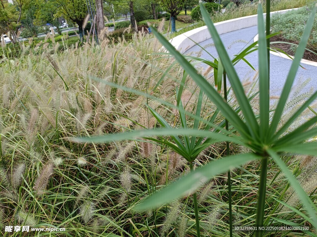 草丛中的翻开书本