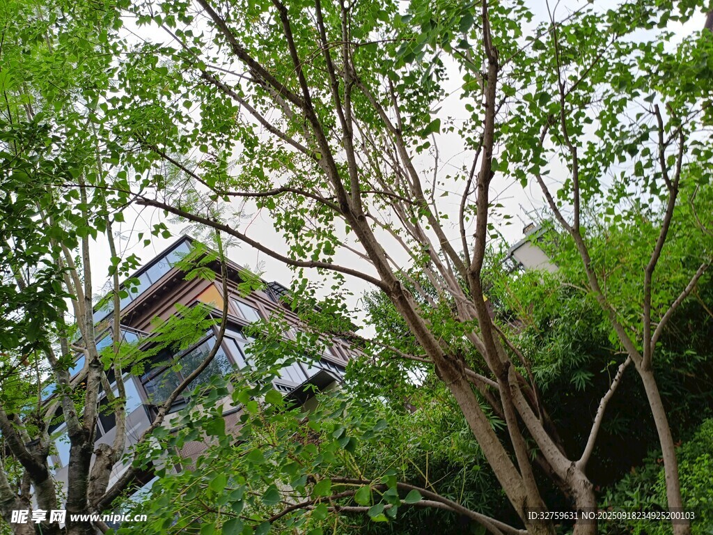 绿树掩映下的房屋一角